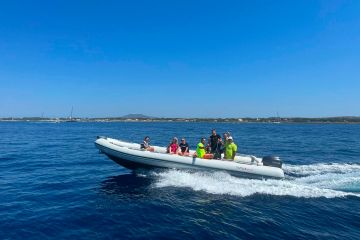 Escursioni Favignana in barca